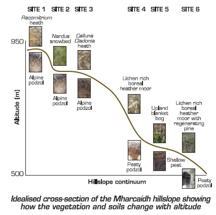 Mharcaidh findings pic