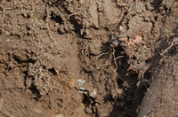 Soil structure pic