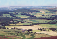 Landscape pic