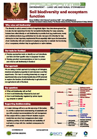 soil poster 1