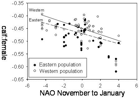 Figure 2. Recruiting rates (log-transformed number of calves per hind) decrease in both west and east of the Great Glenn populations when the North Atlantic Oscillation index (NAO) is positive, this means warm and rainy winters, but recruiting rates are lower in the east population.