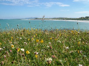 Western Isles Machair