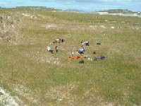 Western Isles Machair