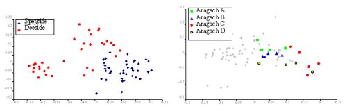 Principal coordinates plots for AFLPs showing genetic differentiation between: a) Speyside and Deeside populations of the ant-dispersed Melampyrum pratense either side of the Cairngorm massif; b) clustering of genetically similar individuals into distinct patches (A-D) of Pyrola minor within one woodland (Anagach, Speyside).