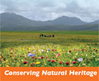 Conserving natural heritage