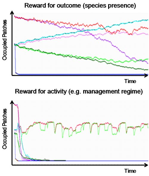 Reward for outcome, reward for activity