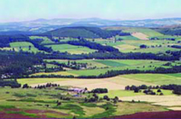 Image for Developing Rural Scotland